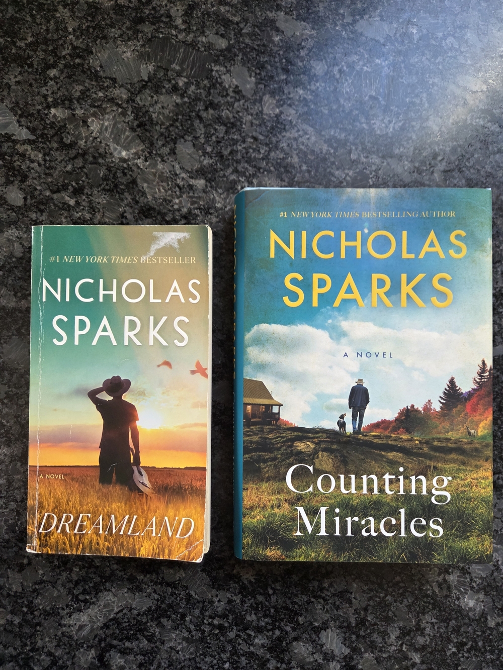 Nicholas Sparks Bundle